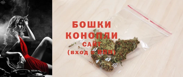 гидра Зеленодольск