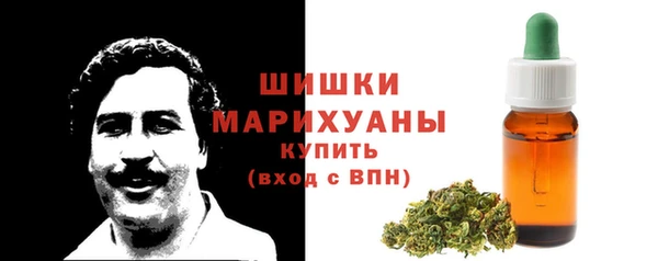 гидра Зеленодольск