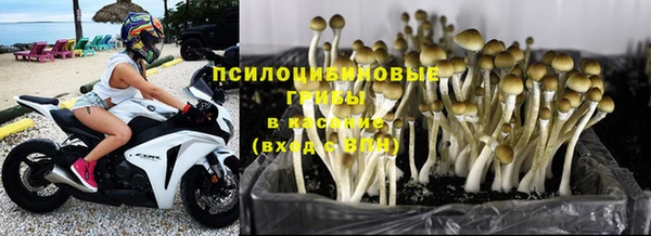 марки nbome Заводоуковск
