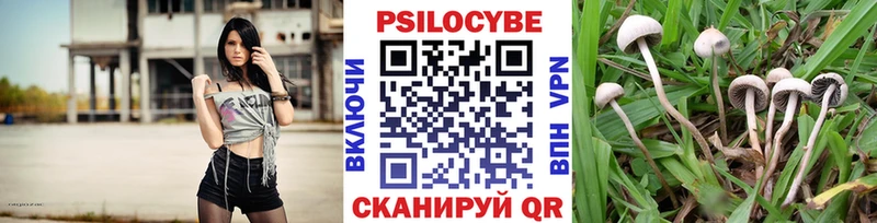 Псилоцибиновые грибы мицелий  Купить где  Медынь 